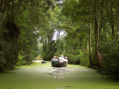 marais_poitevin